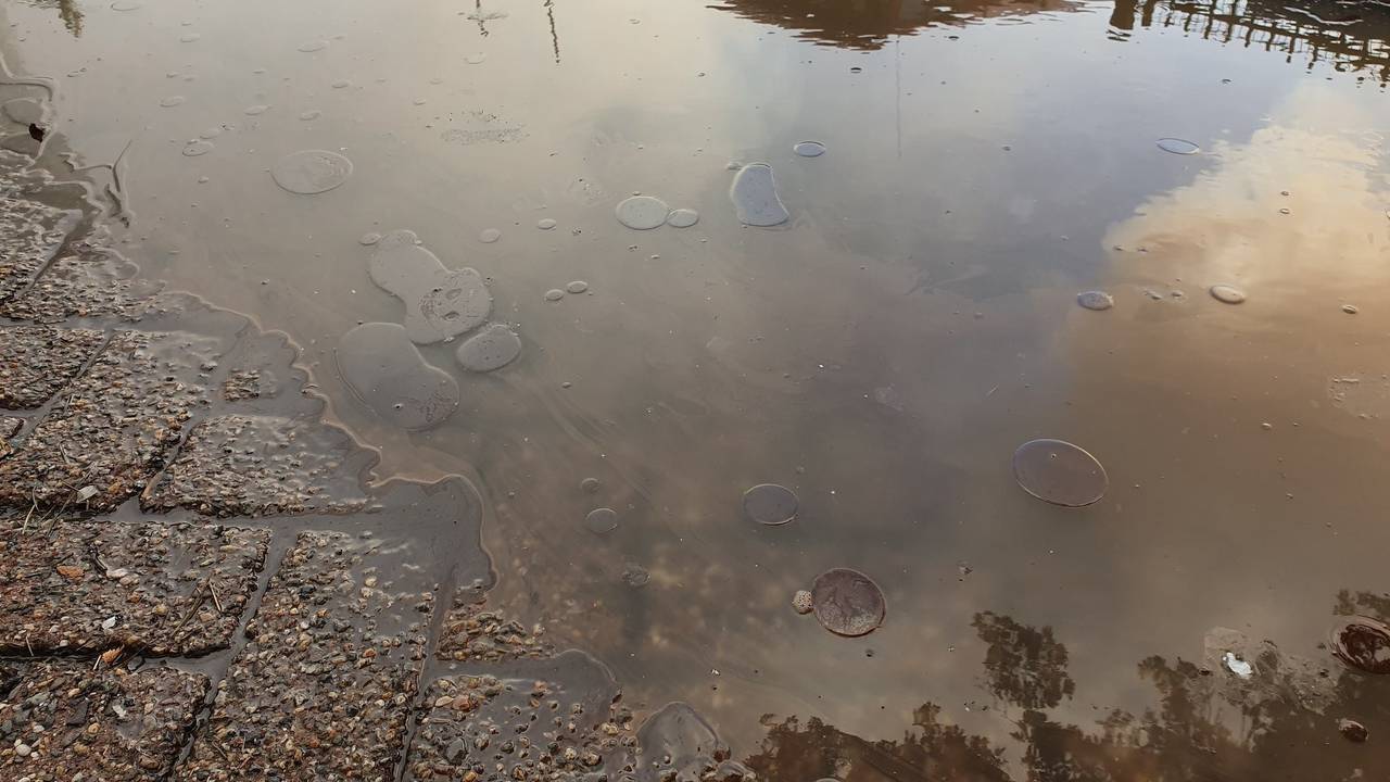 Olie in het water in Tilburg. (Foto: Collin Beijk)