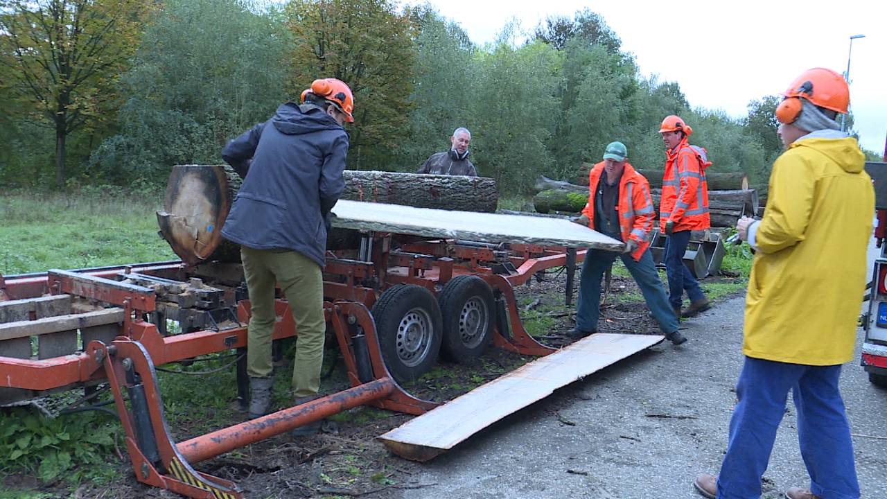 Bomenbankjes DDW (foto Jan Peels).