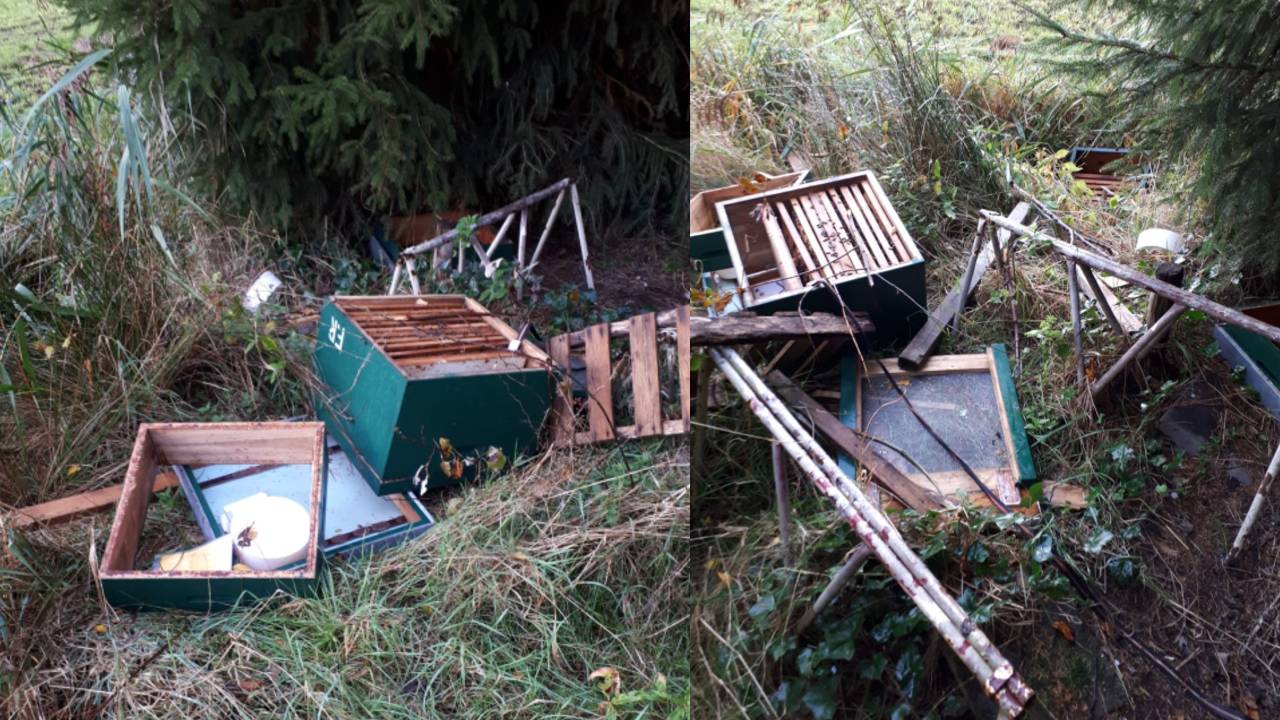 De kapotgeslagen bijenkasten. (Foto's: Frank van Roessel)
