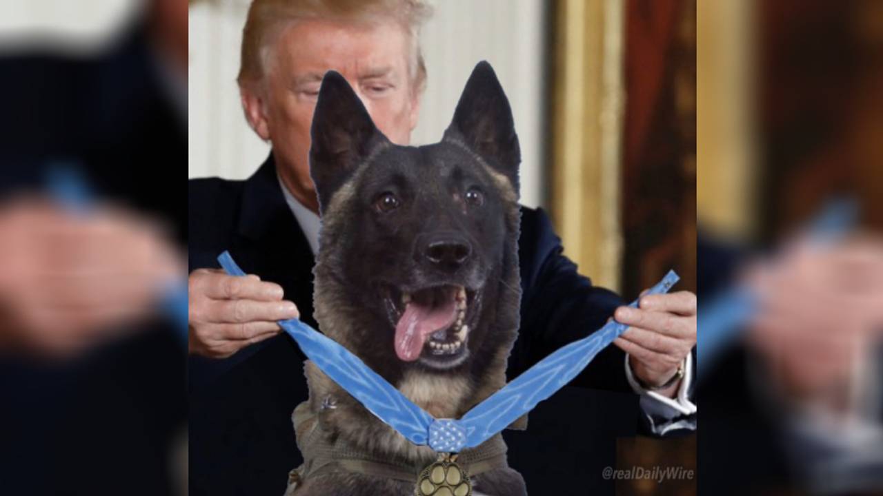 Conan krijgt zogenaamd een lintje (bewerkte foto: Donald Trump/Twitter).