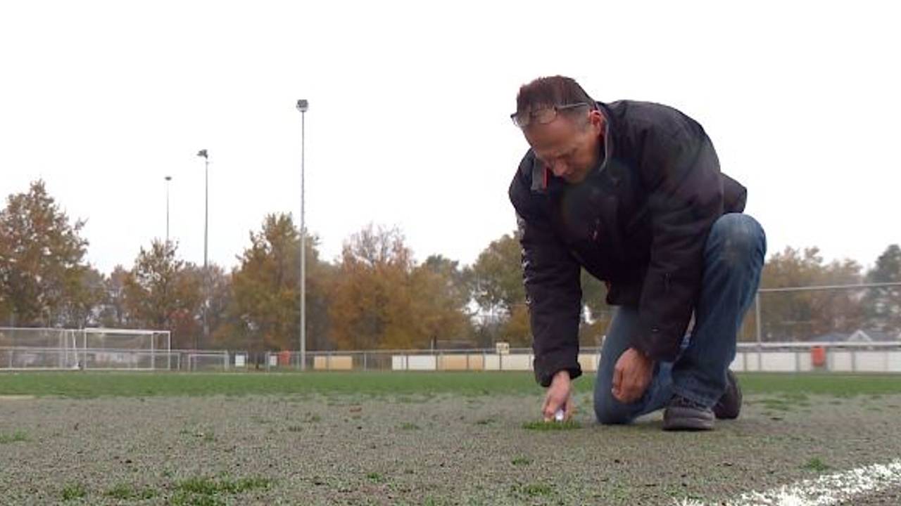 Terreinknecht Henny de Jong