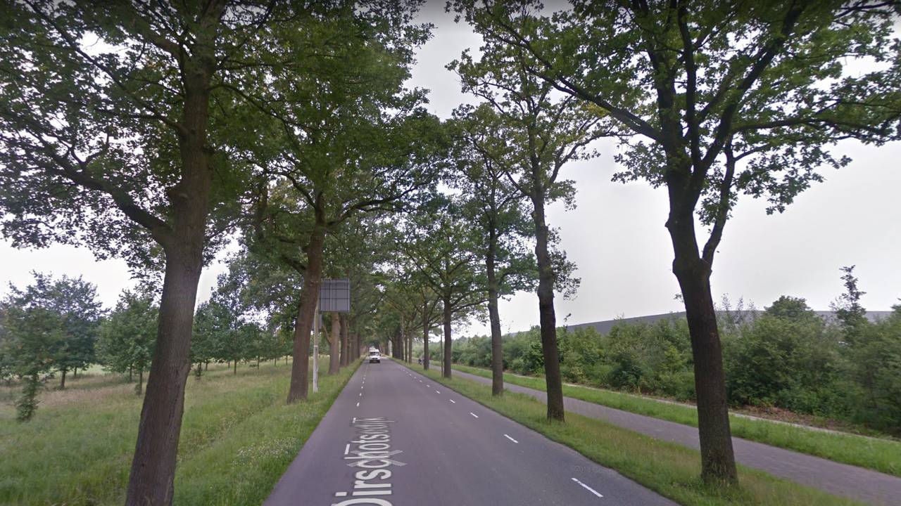 De Oirschotsedijk voor de bomenkap (Beeld: Google Streetview)