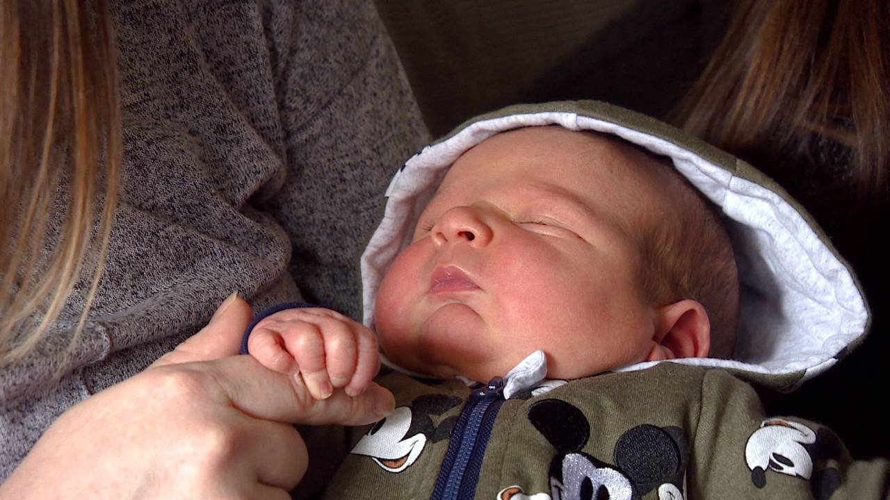 Daevi is een geboren carnavaller.