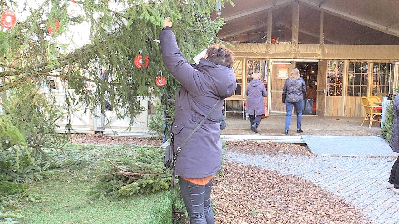 Joris' Kerstboom wordt opgetuigd.