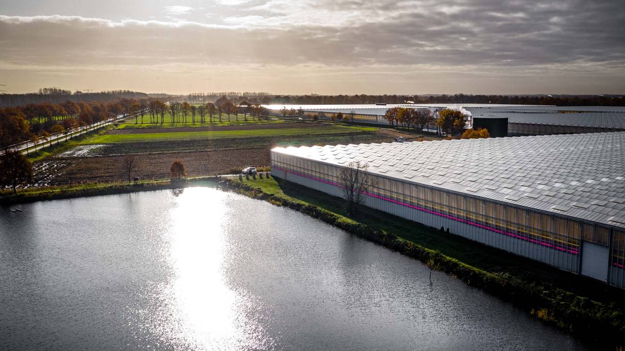 De vijver, een dag later. (Foto: Rob Engelaar/Fotodesk)