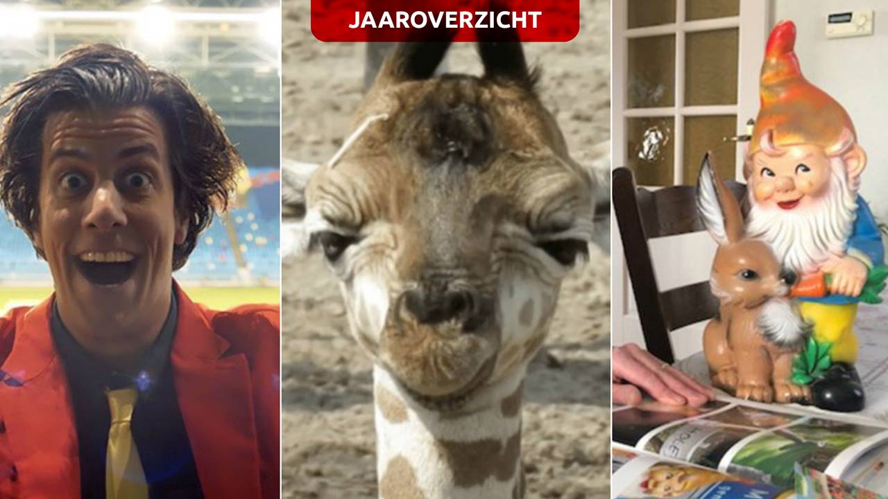 Er viel ook genoeg te lachen in 2019 (beeld: Omroep Brabant/Beekse Bergen).