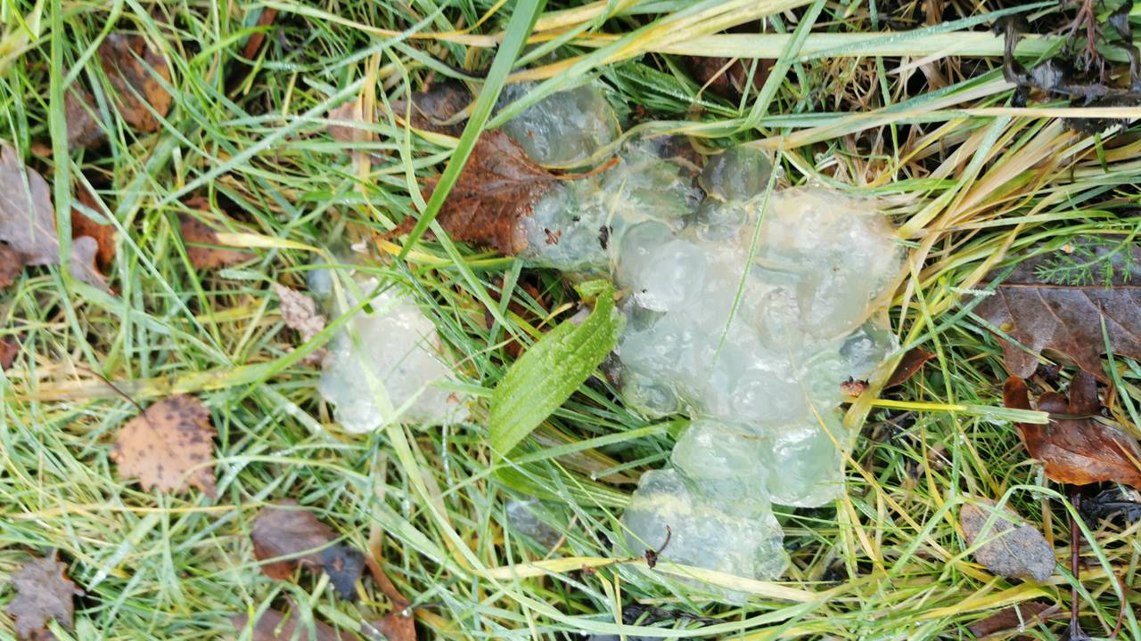 Sterrenschot (Foto: Toon Manders)