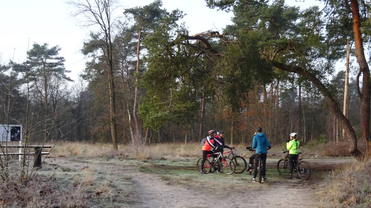 Een fraai begin van de zaterdag in Stiphout.  Foto: Willem van Nunen)
