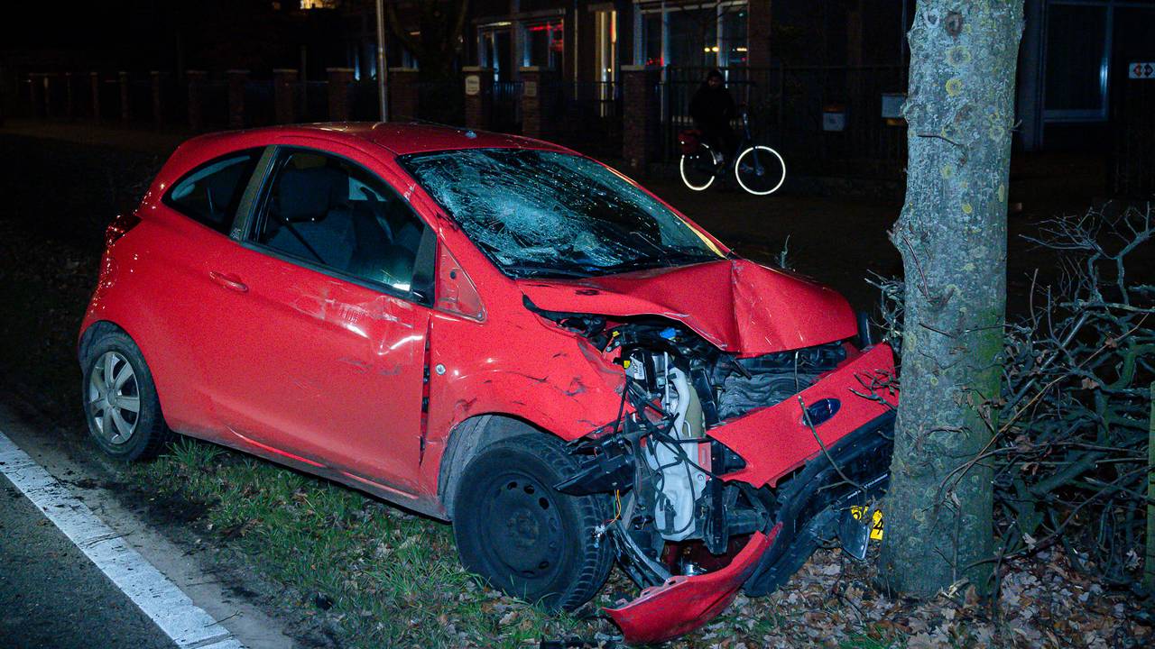 De vrouw botste tegen een boom (foto: Jack Brekelmans / Persburo BMS).