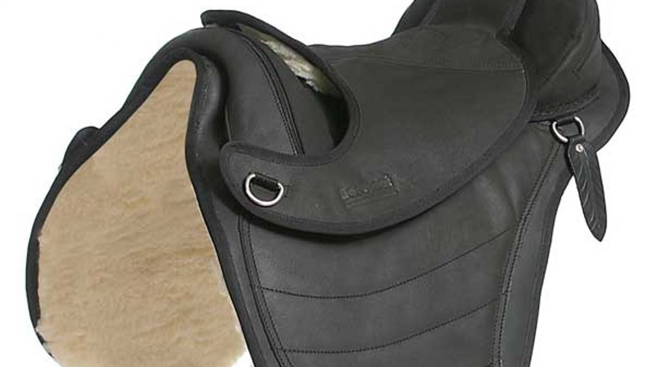 Opnieuw zadels gestolen in Heeze. (Foto: Bf cheyenne1.jpg - Wikipedia)