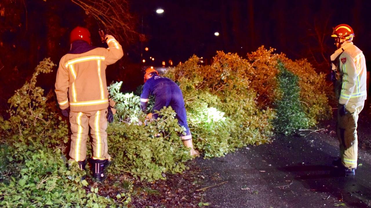 In Waalre zijn bomen omgewaaid op de route van de levende kerststal naar de markt. (Foto: Hans van Hamersveld)