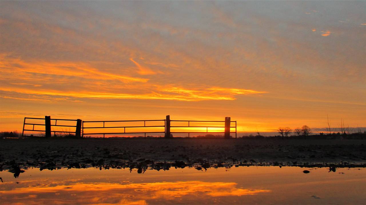 Het ochtendrood weerspiegelt in een waterplas in Hulten. (Foto: Joop van der Kaa)