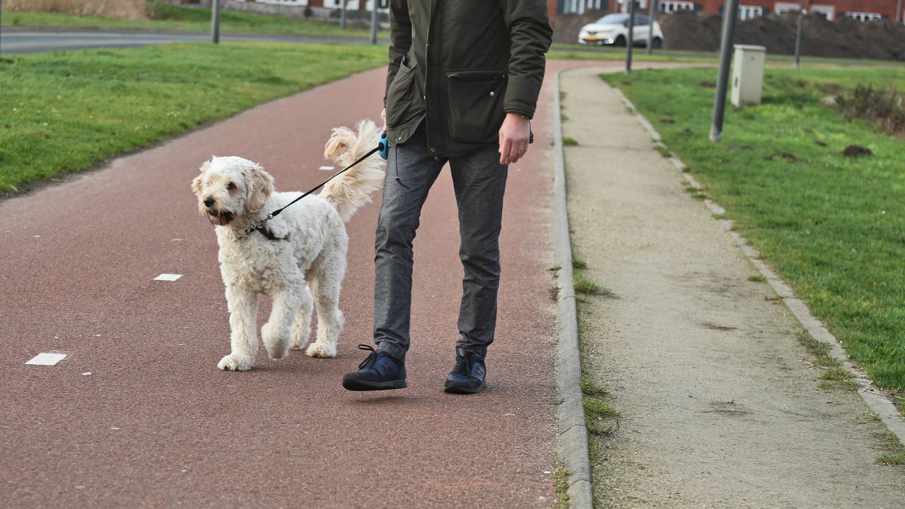 De mans overvallen terwjil hij zijn hond uitliet (archieffoto: Karin Kamp).