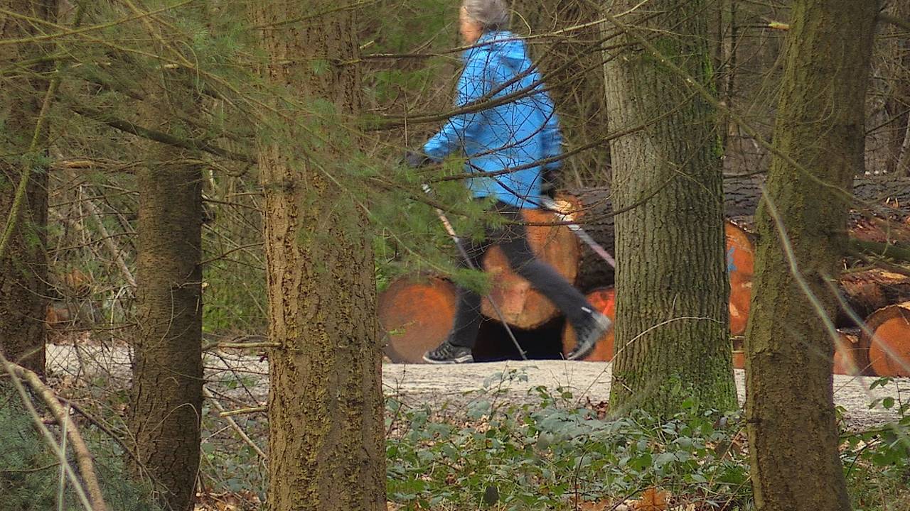 Archieffoto: Rob Bartol