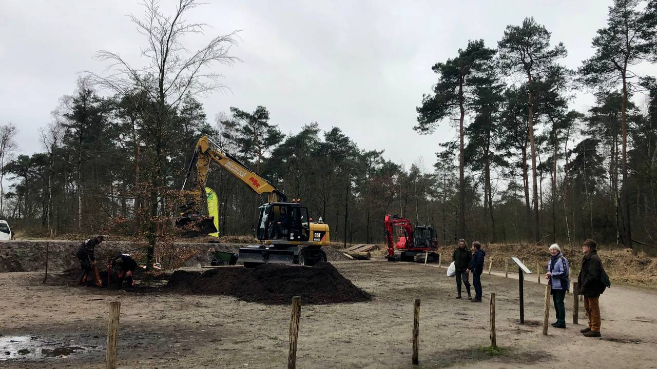De nieuwe scheidingsbeuk in het Mastbos in Breda is geplant. (foto: Raoul Cartens)