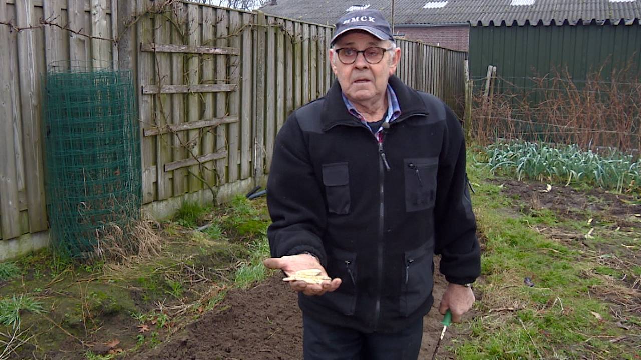 Piet laat trots de eerste asperges zien.