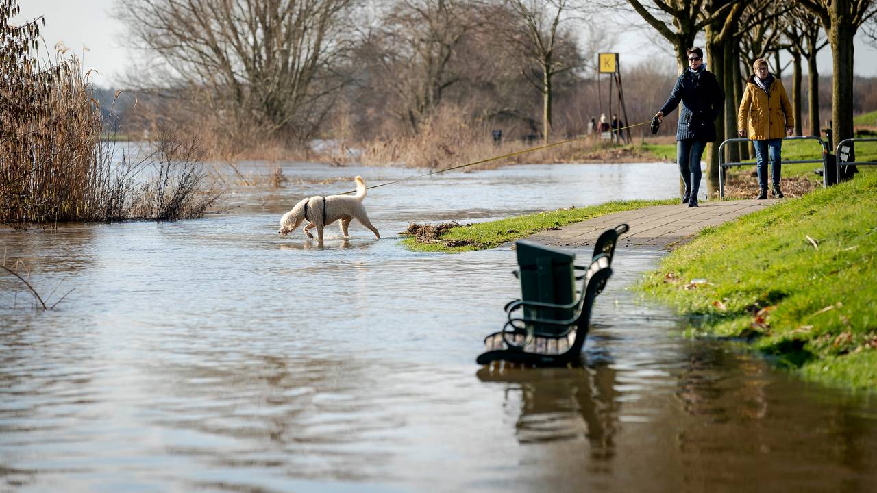 Door regenval is de waterstand in de Maas opgelopen (foto: ANP/Robin van Lonkhuijsen).
