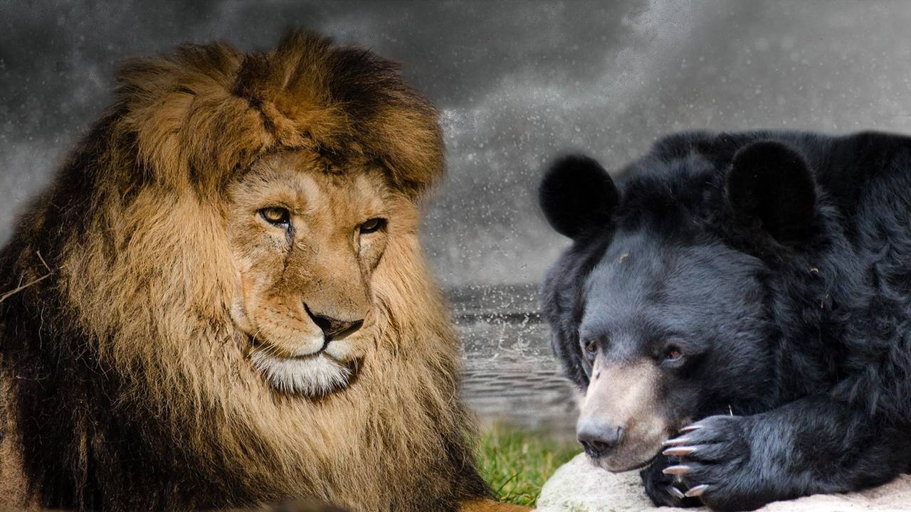 Foto: Omroep Brabant