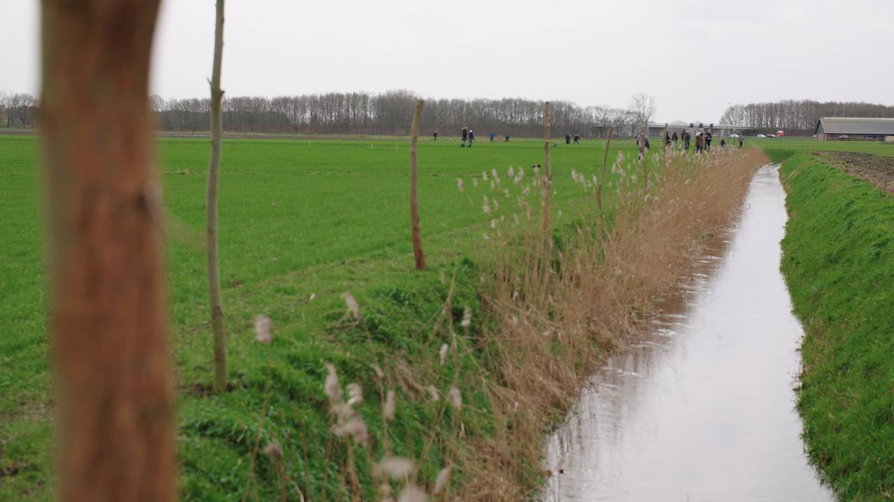 Bomen planten langs de Leij.