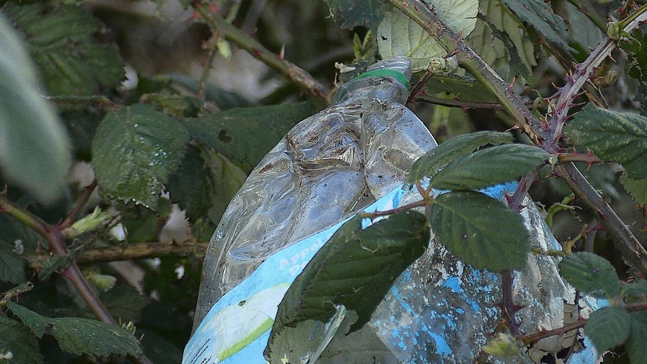 Ook de uiterwaarden van de Bergsche Maas zijn toe aan een schoonmaakbeurt