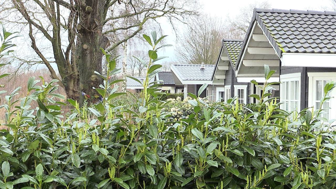 Steeds meer mensen wonen permanent in een vakantiehuisje