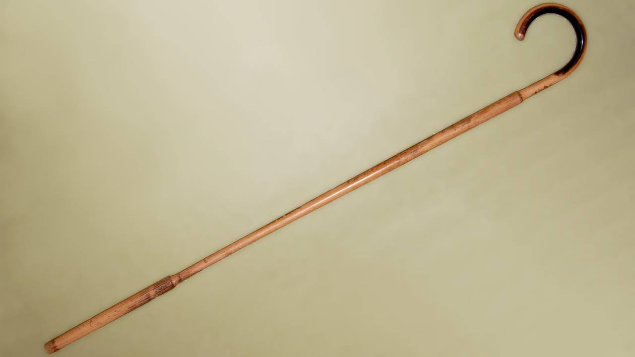 Een wandelstok (foto: Wikimedia Commons).