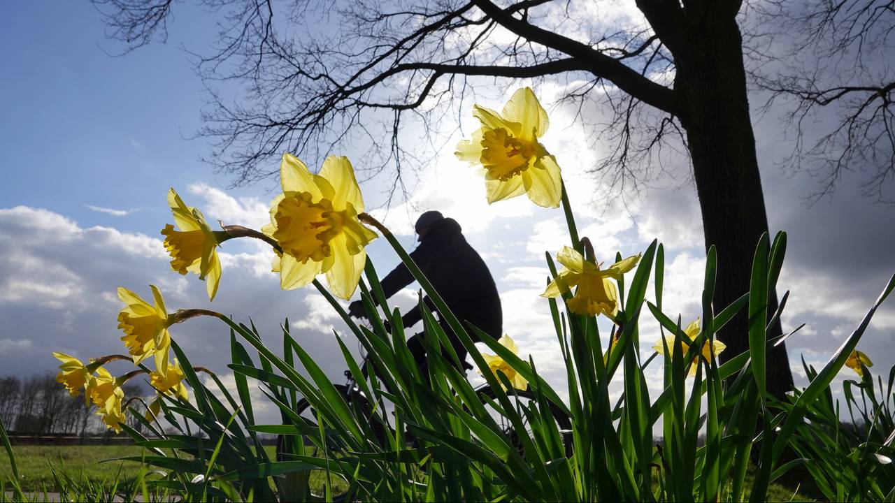 Dit weekend krijgen we een mix van wolken en zon (foto: Ben Saanen).
