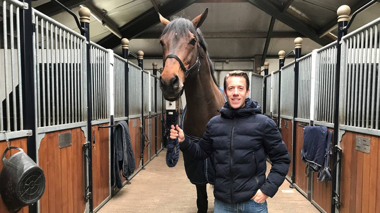 Het harde werk zit erop voor springpaard Verdi.