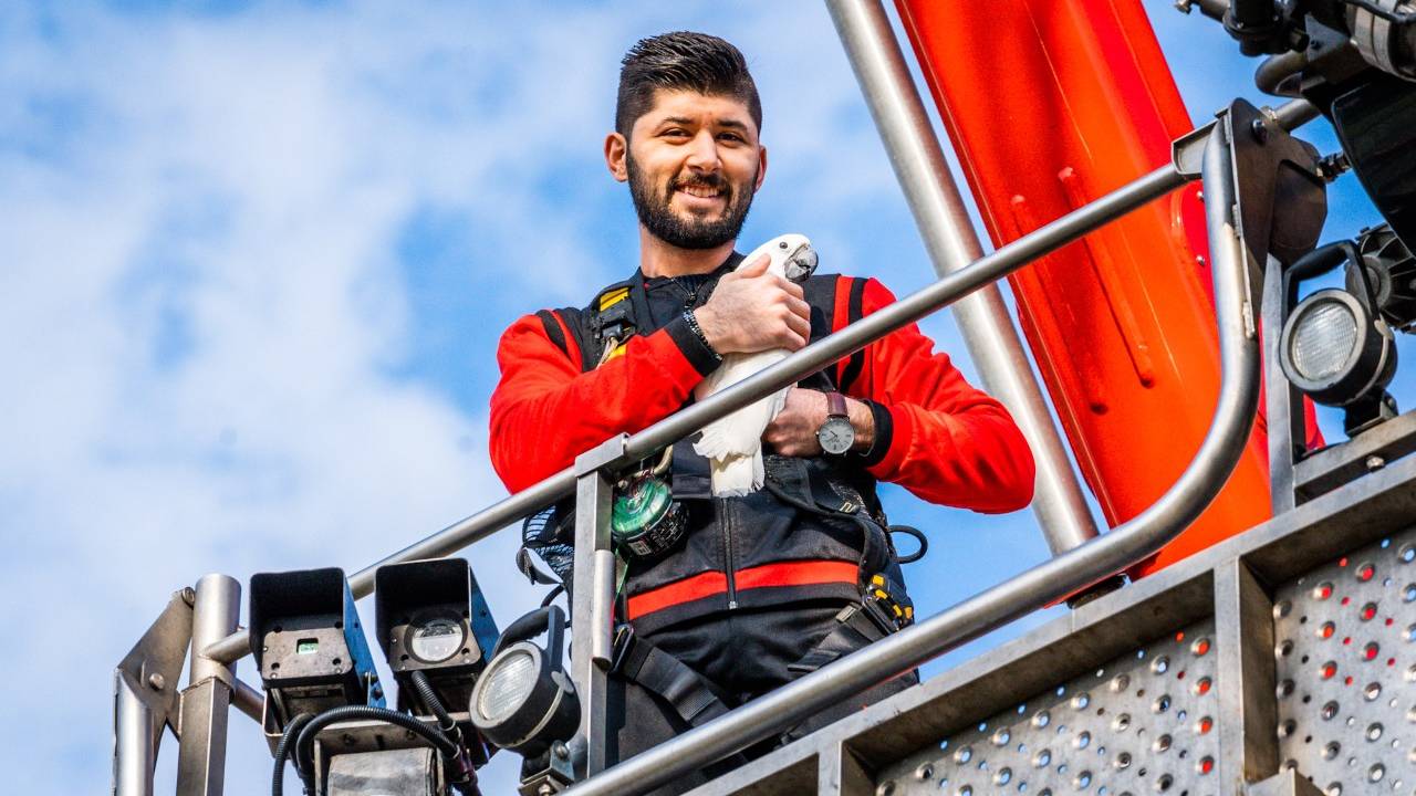 Awss en papegaai Sparrow the White (foto: SQ Vision/Sem van Rijssel)