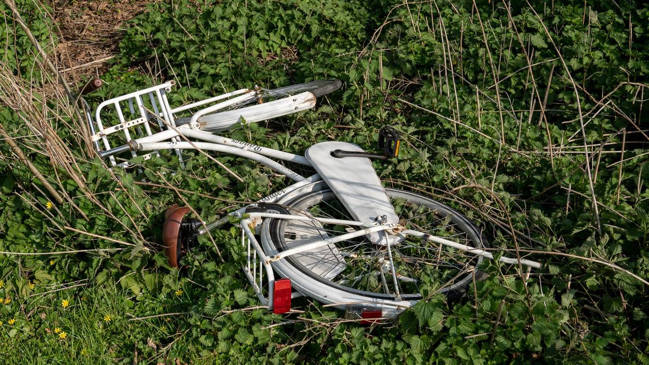 Foto: SQ Vision /  Iwan van Dun