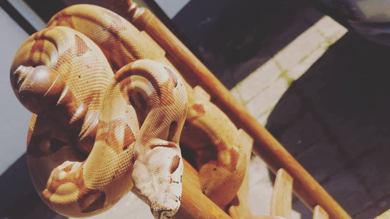 Foto: Instagram wijkagent Bart