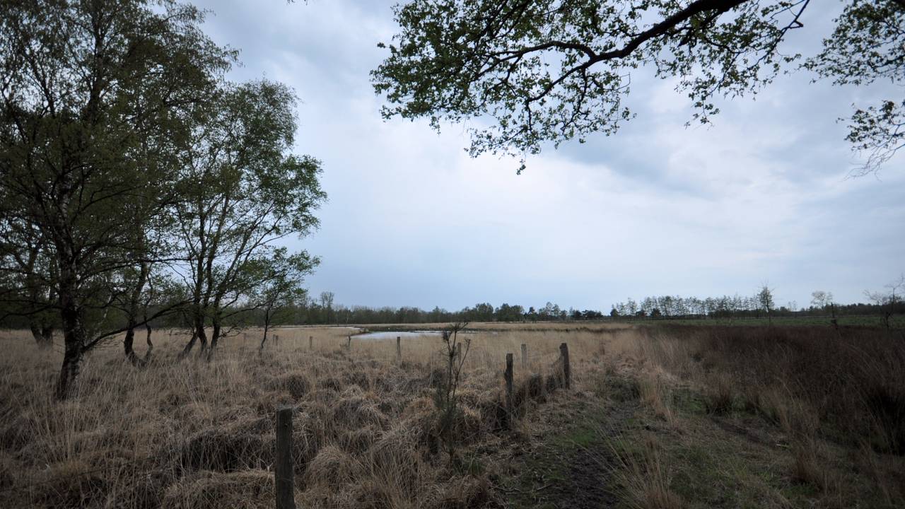 Een zwaarbewolkte lucht bij een koude noordenwind in zuidoosten van Brabant foto: Ben Saanen).