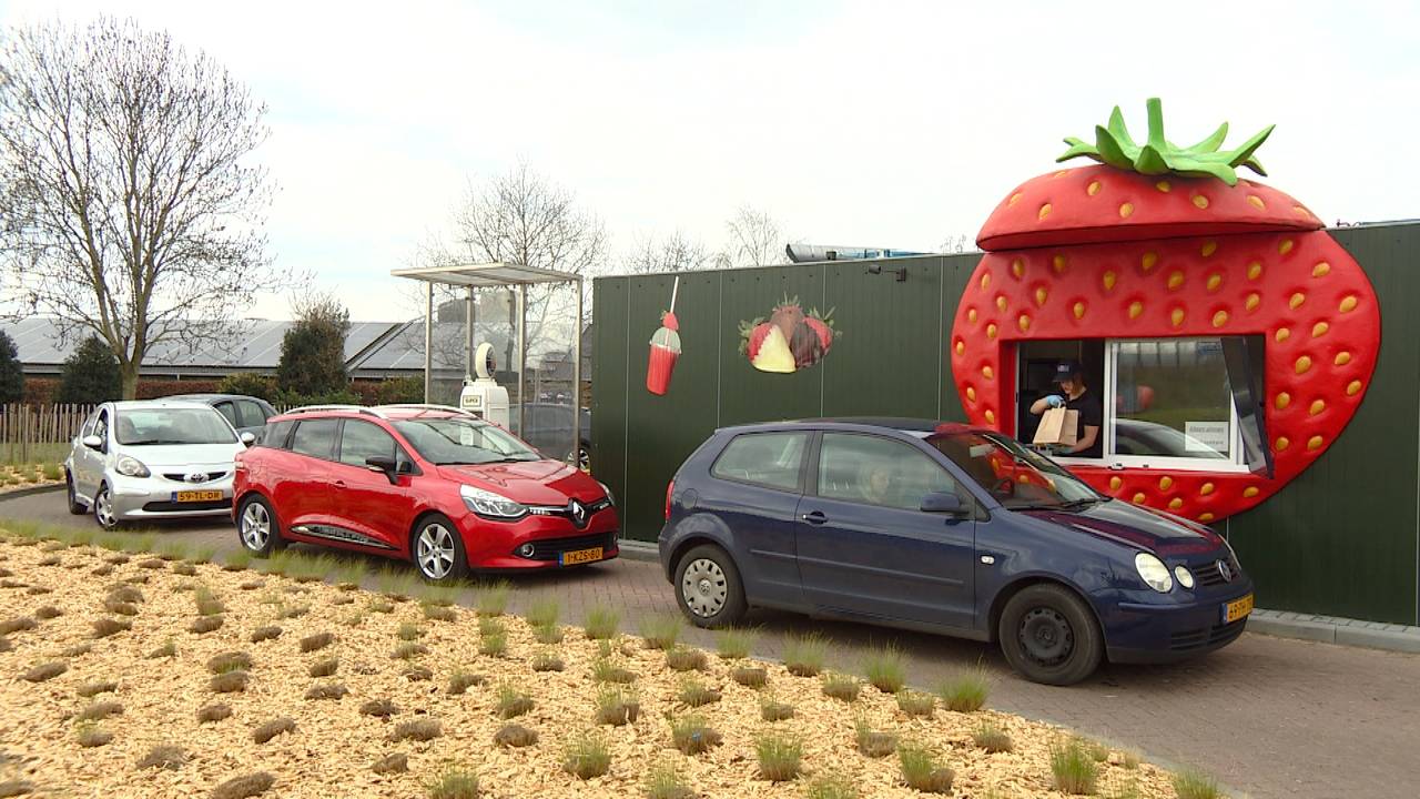 Lange rijen voor de aardbeien drive-in in Uden