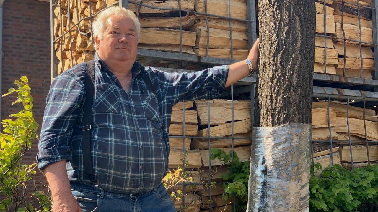 Frans Wijlaars met één van de ingepakte bomen bij zijn houthandel. (foto: Eva de Schipper)