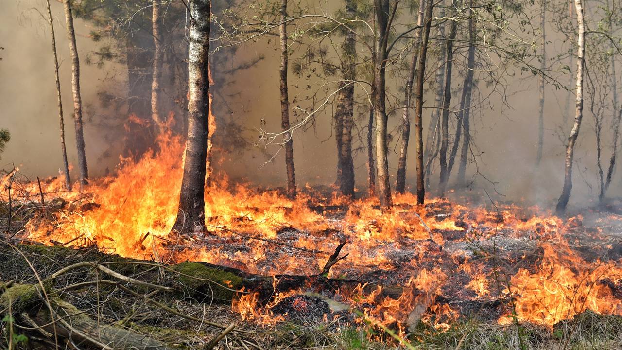 De brand ontstond dinsdagmiddag. (Foto: Toby de Kort/SQ Vision)
