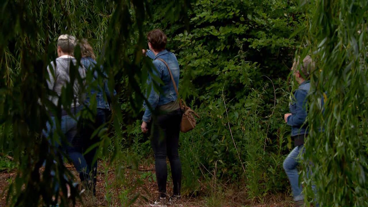 Vrijwilligers zochten vrijdag onder andere in de buurt van Waspik naar een spoor van de vermiste Bert de Laat uit Made.