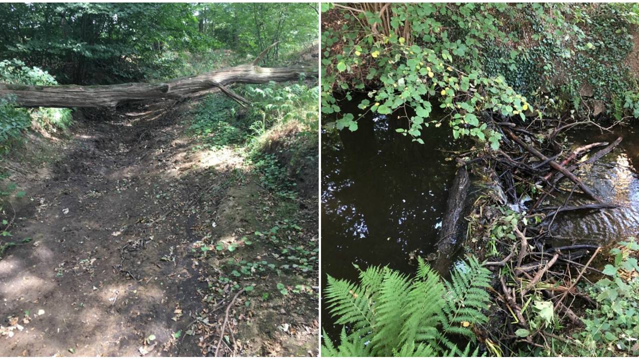 Twee jaar geleden (links) stond het er nog kurkdroog, nu niet meer (foto's: Mari de Bijl).