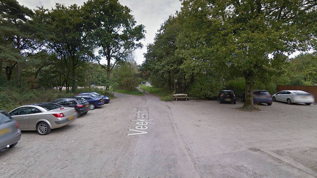 De Veekestraat  bij de Vrachelse Heide (foto: Google Streetview).