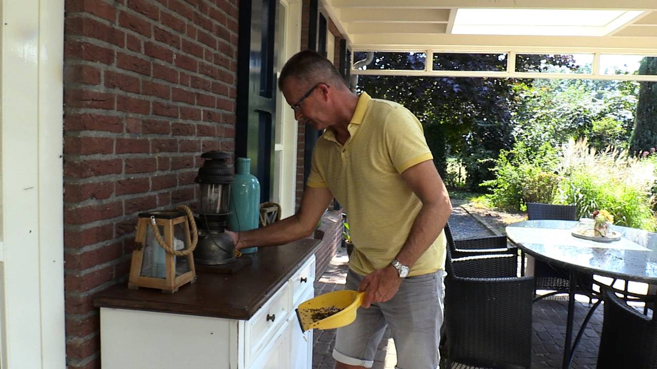 Jos ruimt de vliegen dagelijks op.