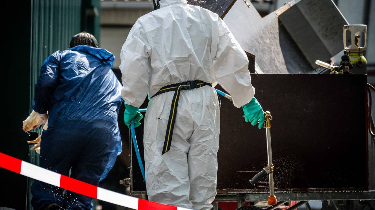 52 nertsenbedrijven zijn nu besmet verklaard (Archieffoto).