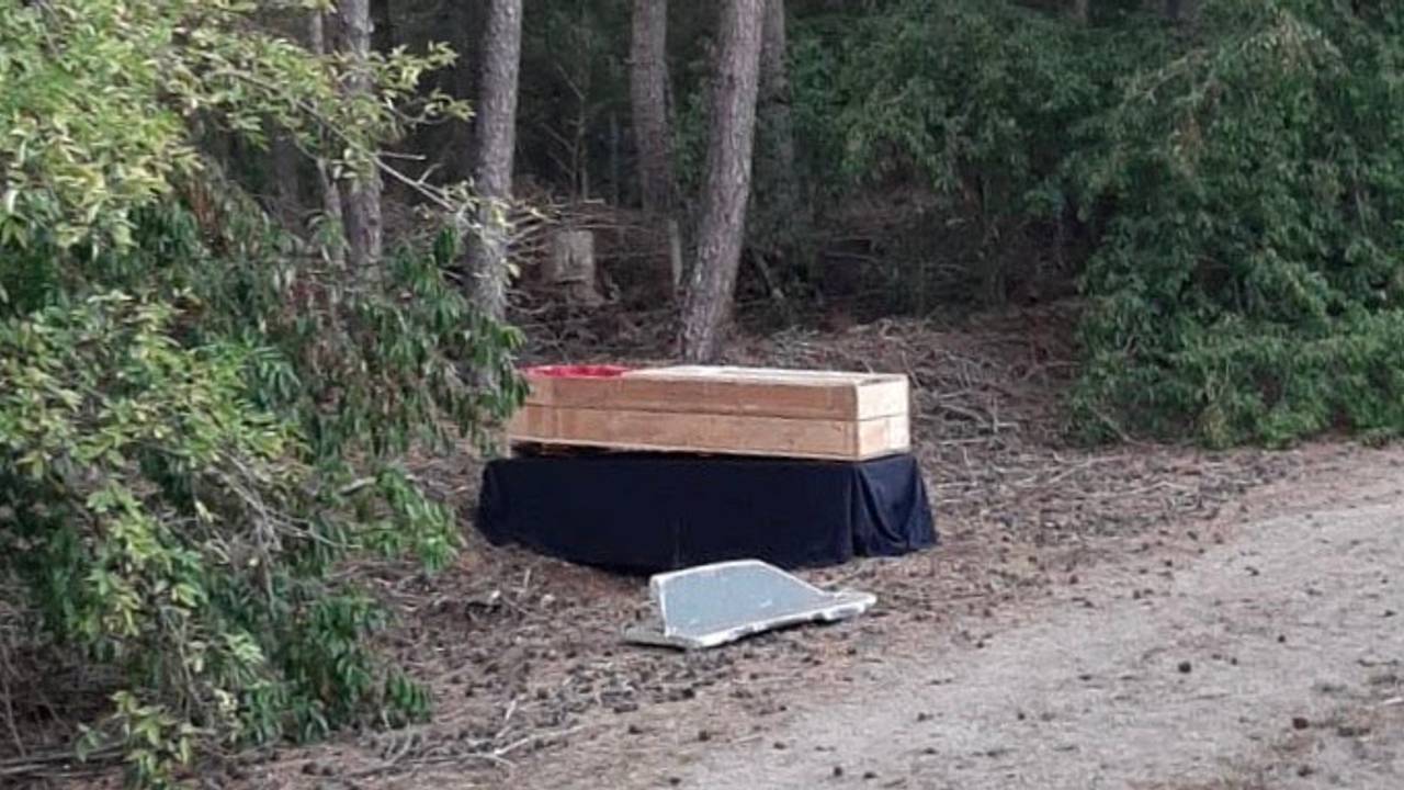 Du cercueil à la BMW : ces objets ont également été abandonnés dans la forêt