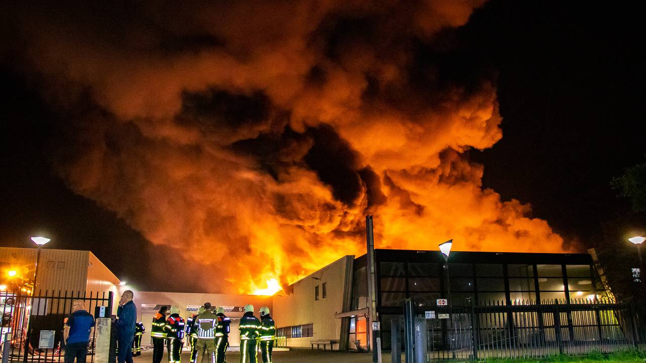 Foto: Jurgen Versteeg/ SQ Vision Mediaprodukties