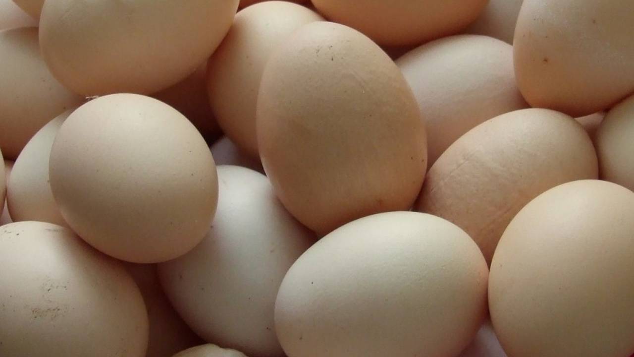 Archieffoto: Tripleigrek/Flickr