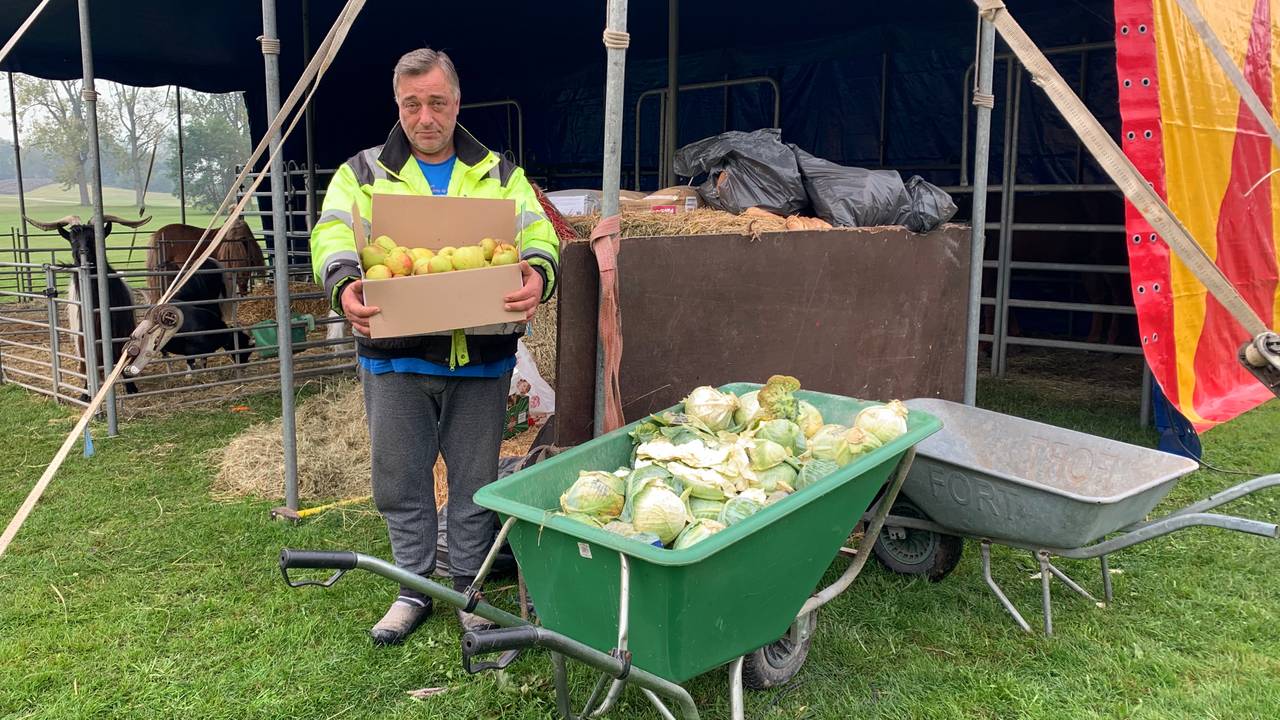 Veel hulp voor noodlijdend circus.