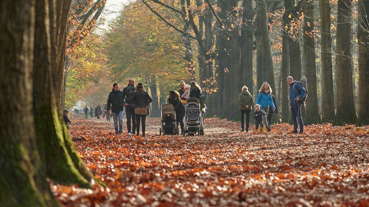 Drukte in het Mastbos in Breda (foto: Tom van der Put/SQ Vision)