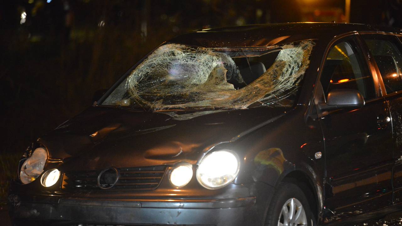 Foto: Perry Roovers, SQ Vision.