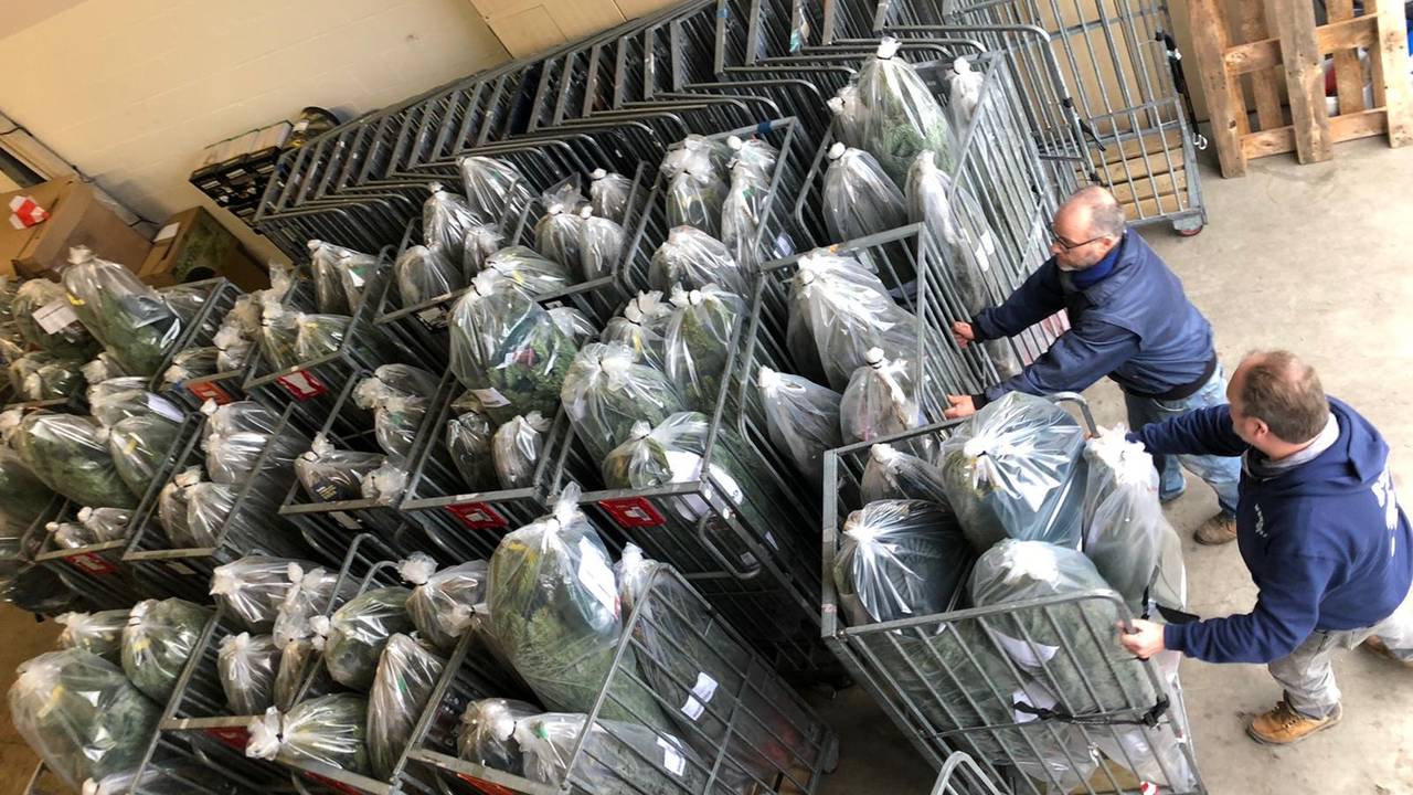 De verwerking van kerstbomen vorig jaar. (Archieffoto: O Denneboom)