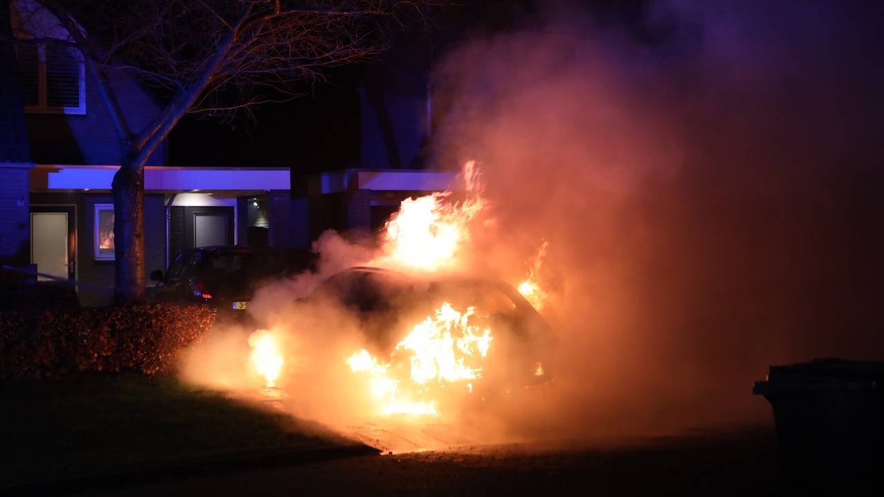 Foto: Sander van Gils / SQ Vision Mediaprodukties