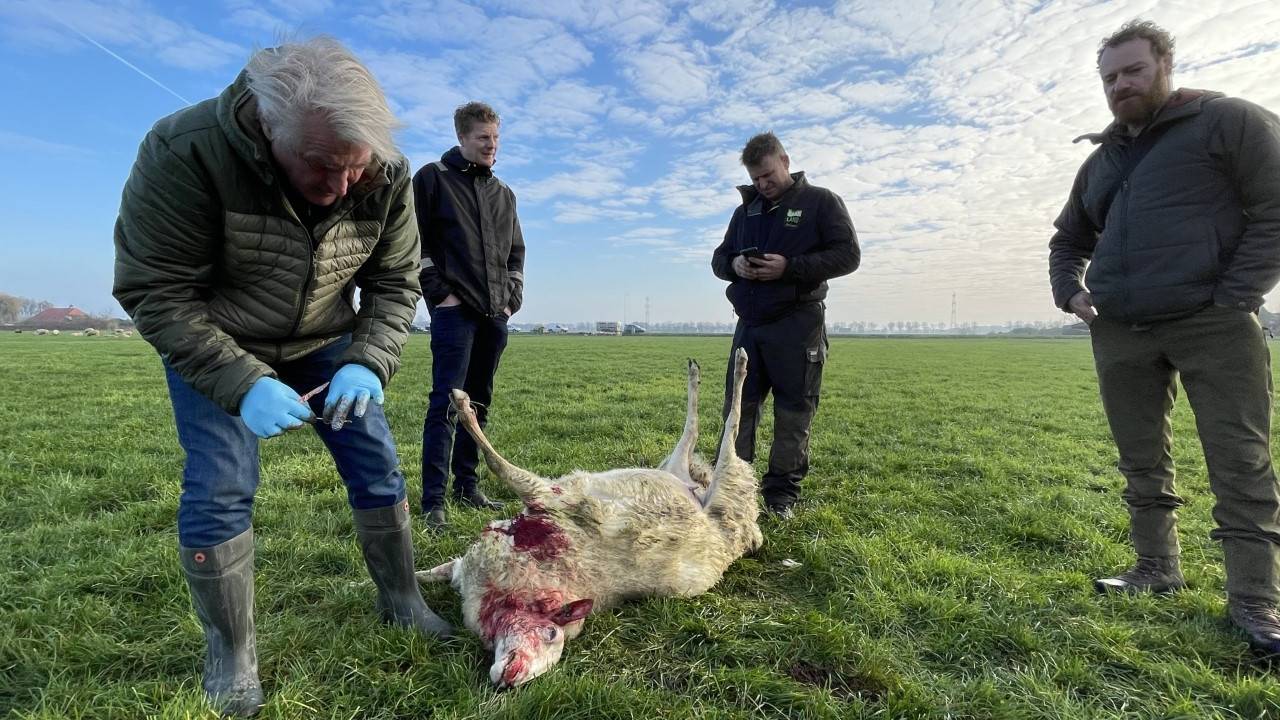 Foto: Bart Meesters/SQ Vision