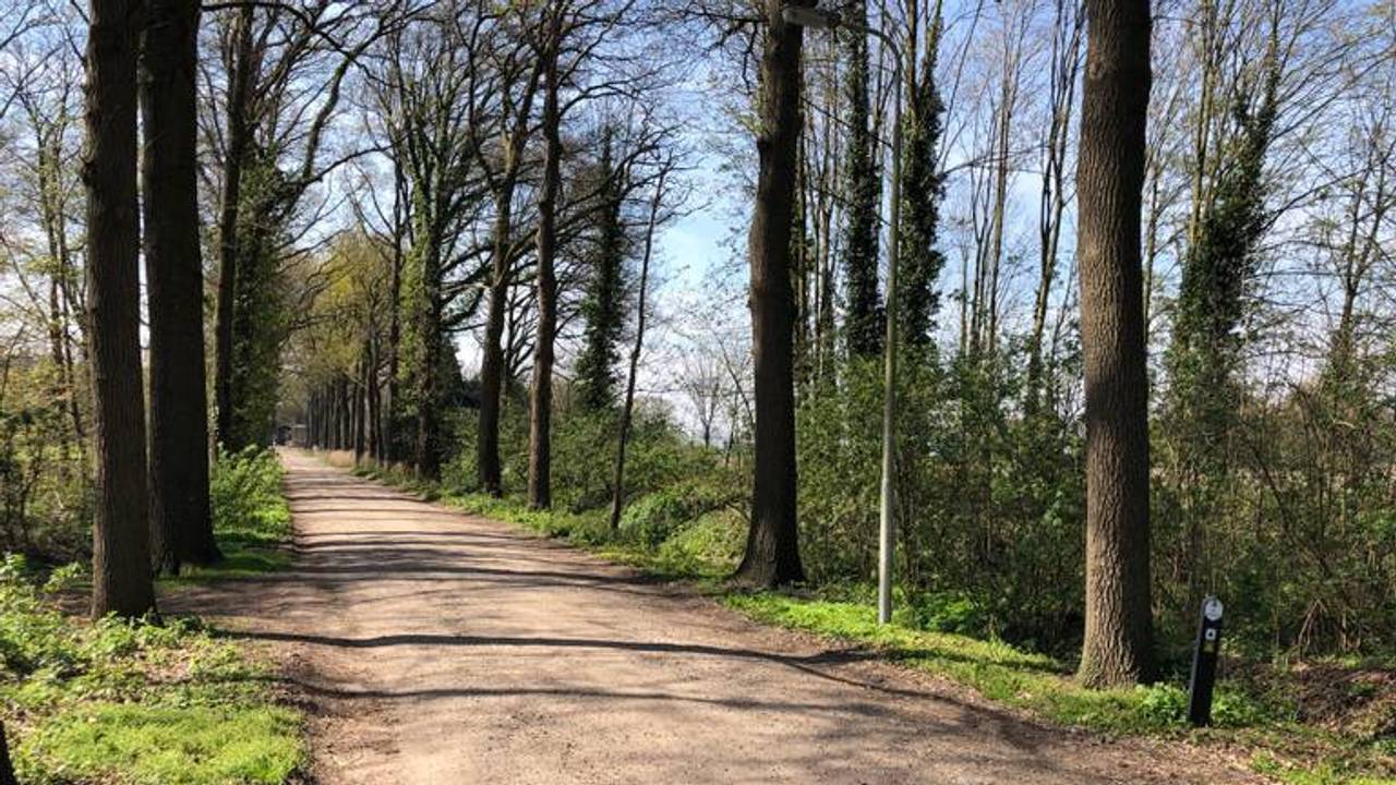 De Kasteellaan bij Asten-Heusden, vroeger al berucht vanwege potloodventers.